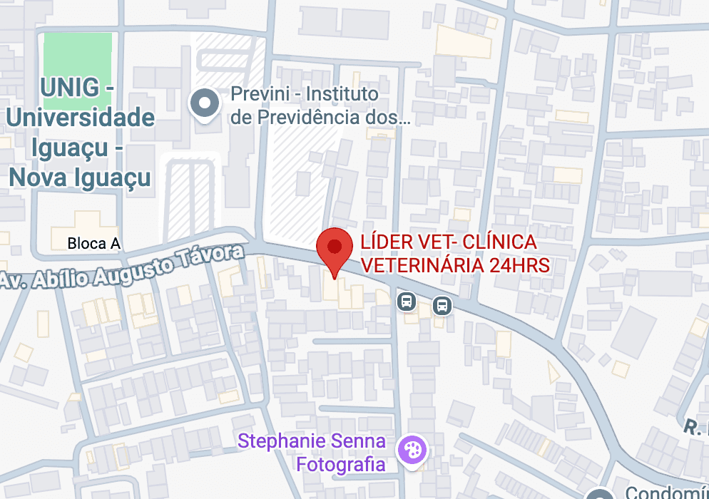 Imagem do Mapa